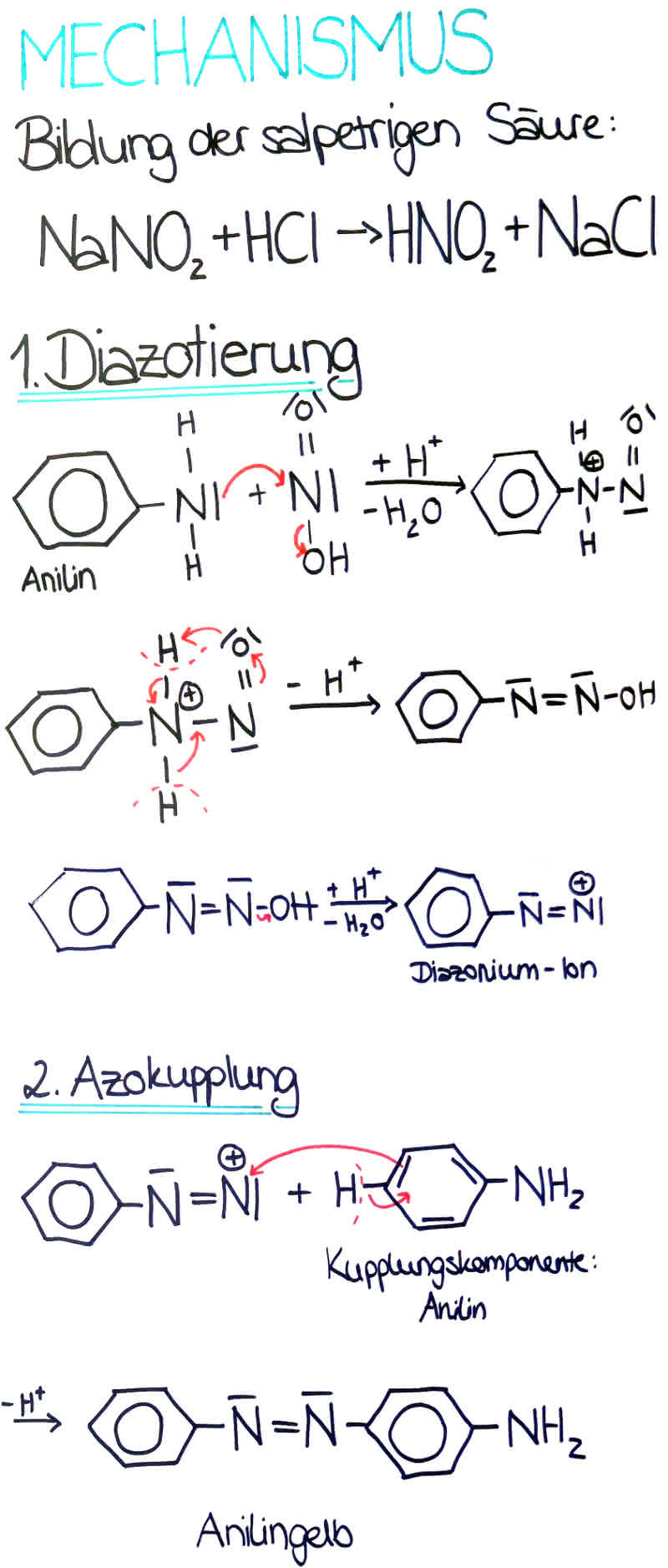 Mechnismus der Azokupplung