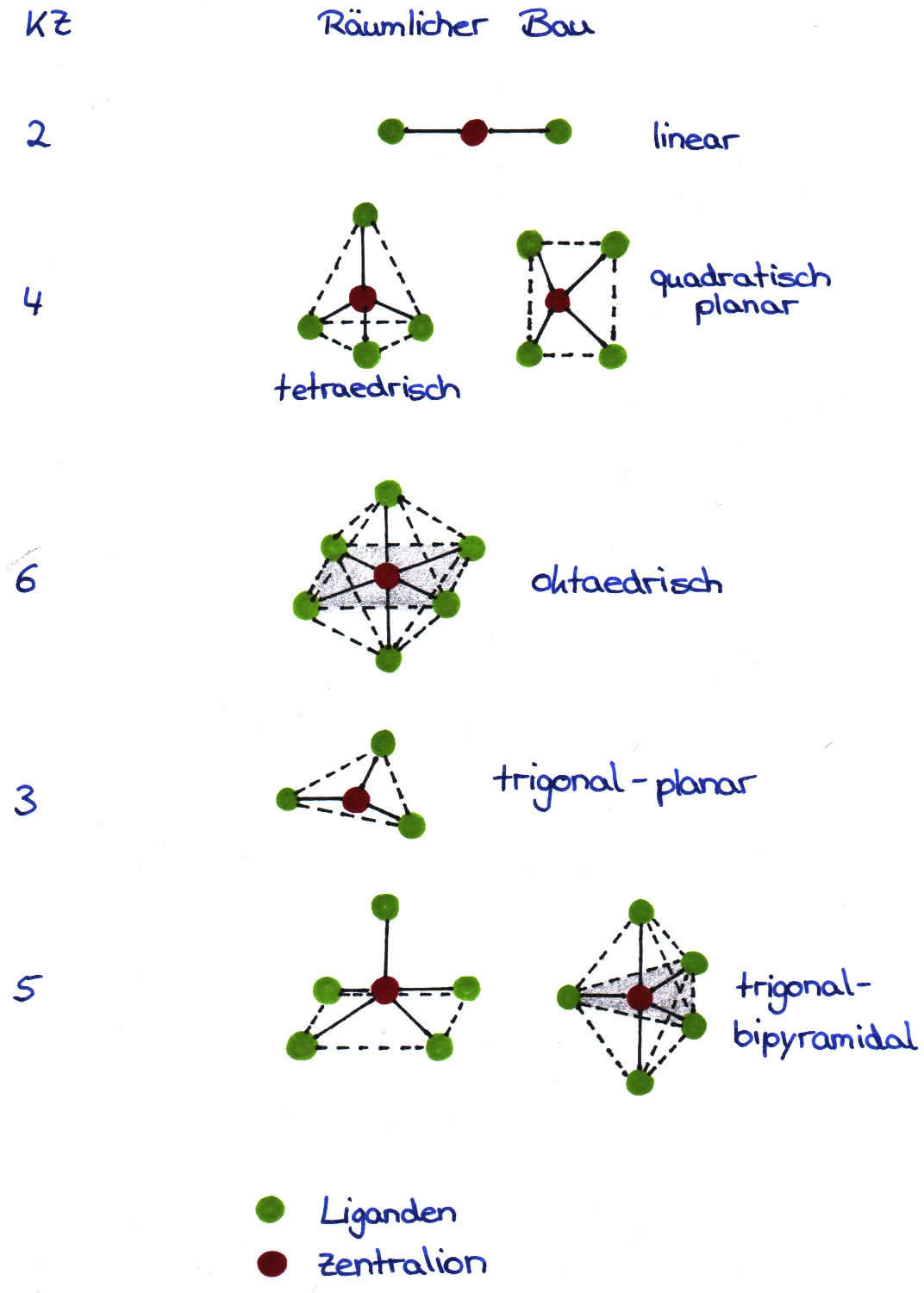 Räumlicher Bau von Molekülen (nach Koordinationszahl)