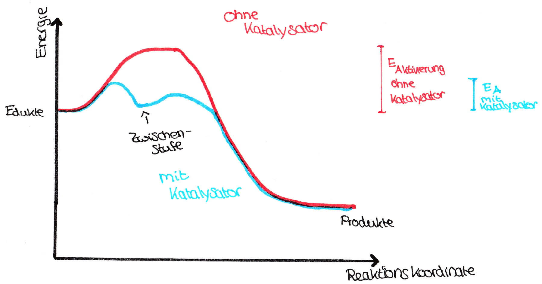 Gegenüberstellung: Energiediagramm mit und ohne Katalysator