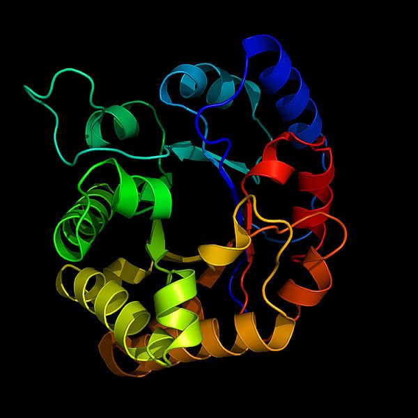 Struktur eines Enzyms