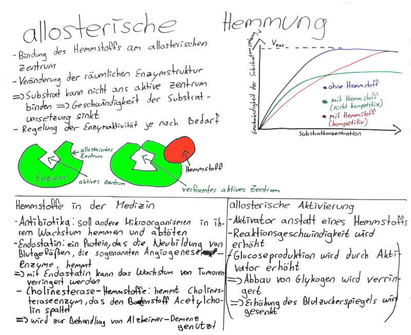 Allosterische Enzymhemmung