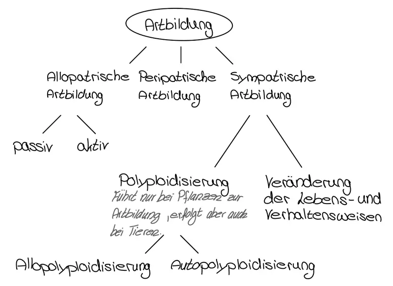 Artbildung