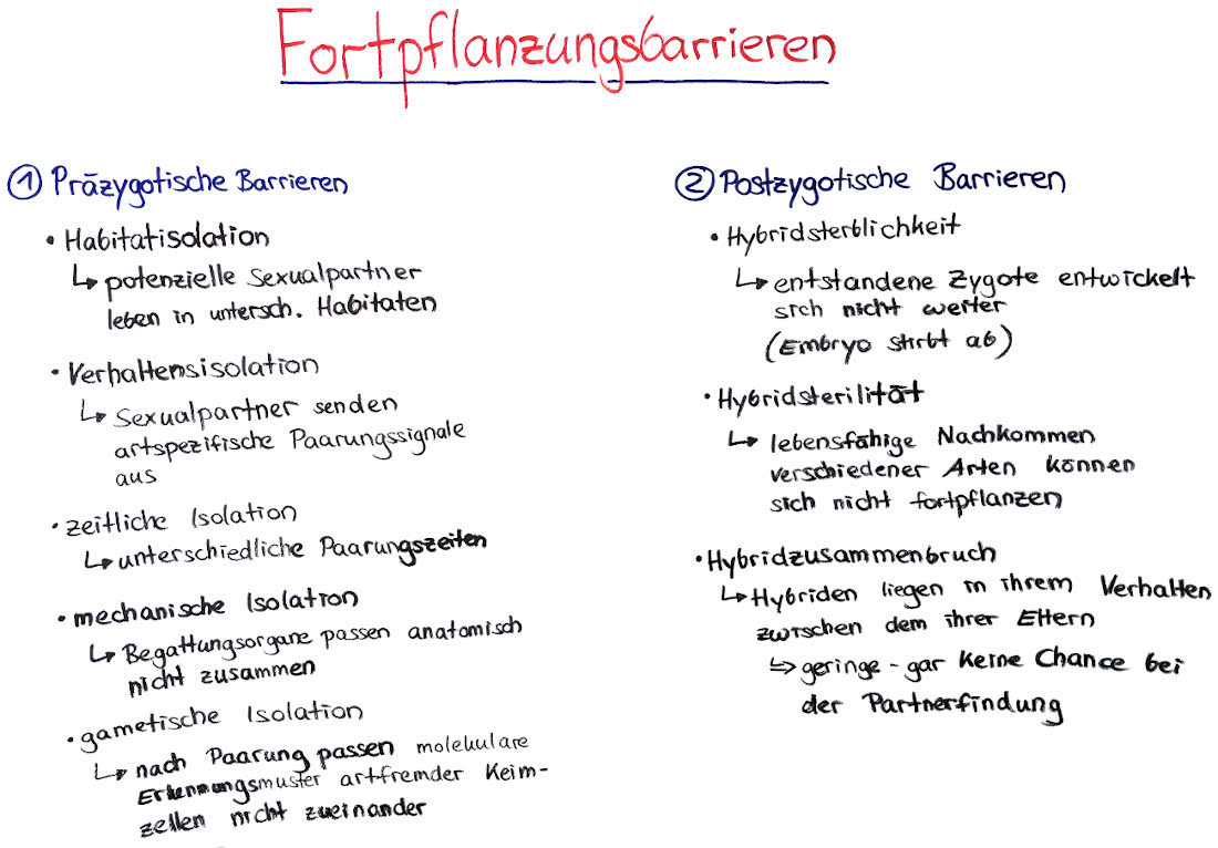 Fortpflanzungsbarrieren - Isolationsmechanismen