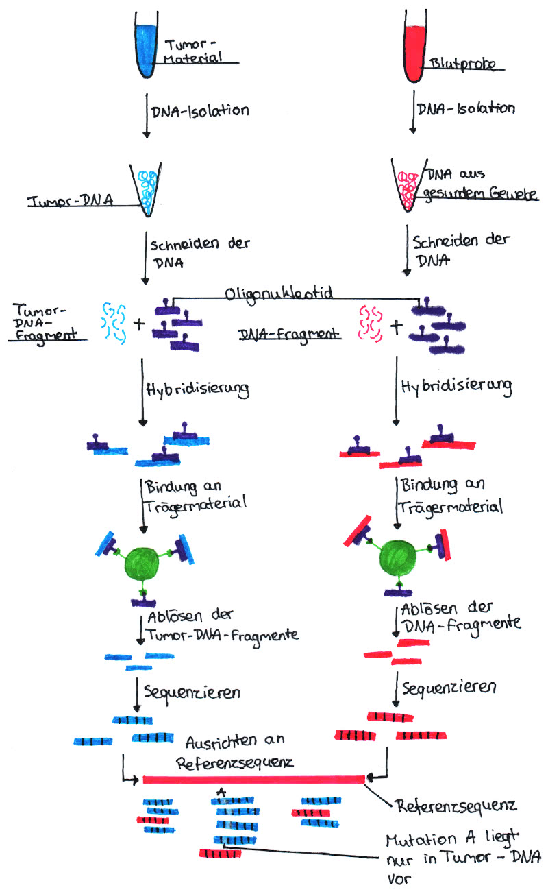 Grafik zur Krebstherapie