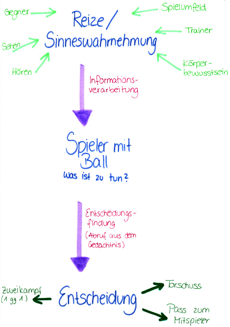 Reiz-Rekations-Verknüpfung - Neurophysiologie