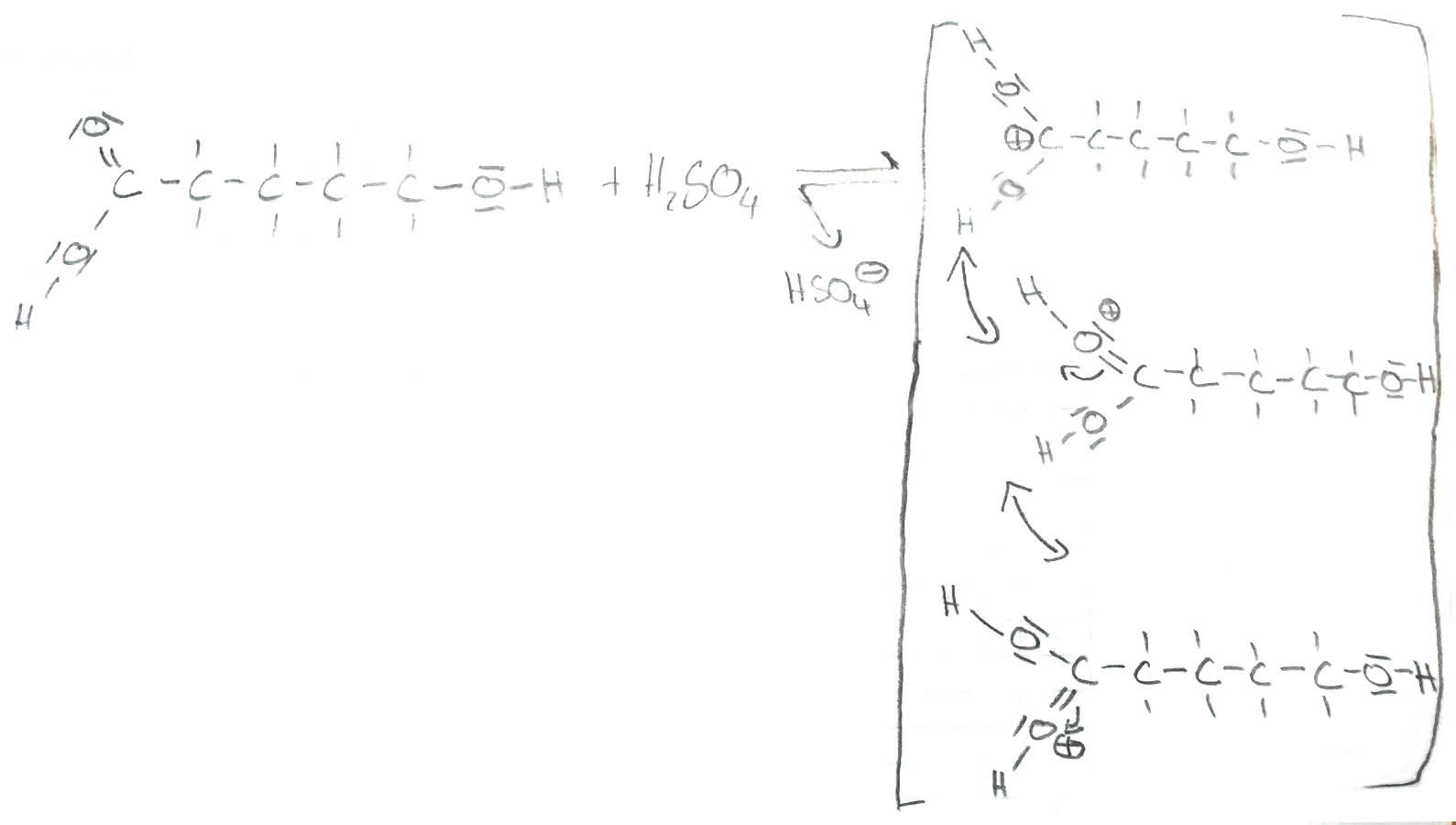 Mechanismus der Veresterung - Erster Schritt 