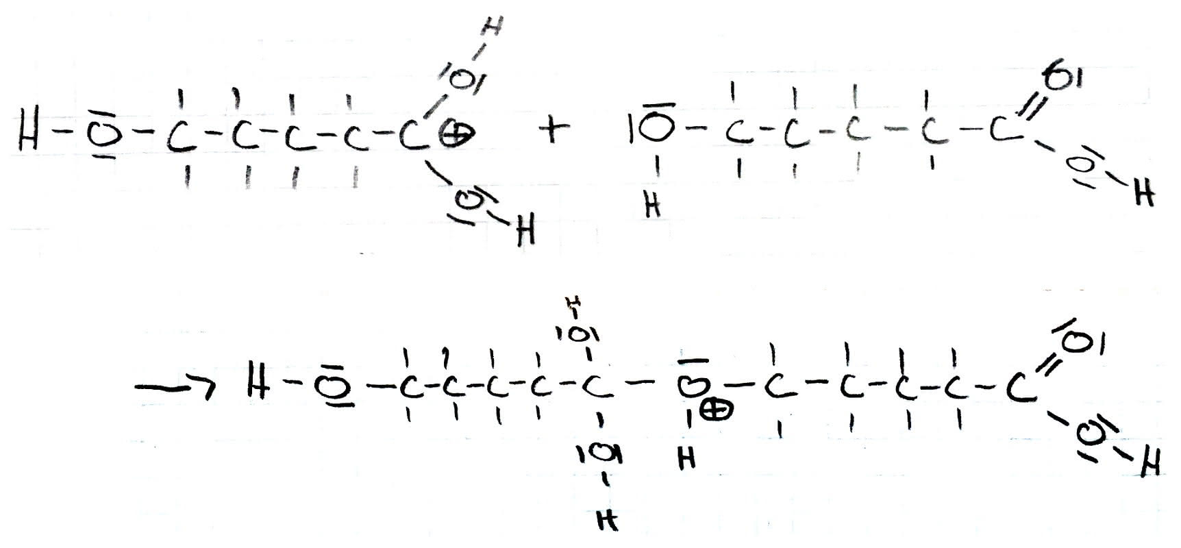 Mechanismus der Veresterung - zweiter Schritt 