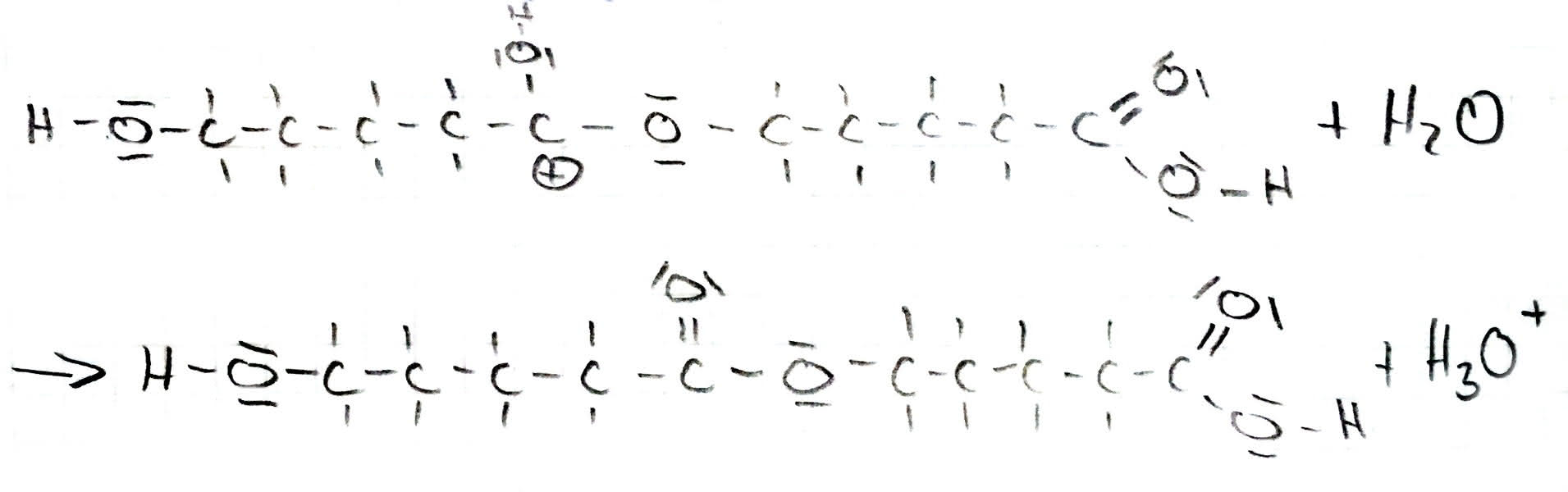 Mechanismus der Veresterung - fünfter Schritt 