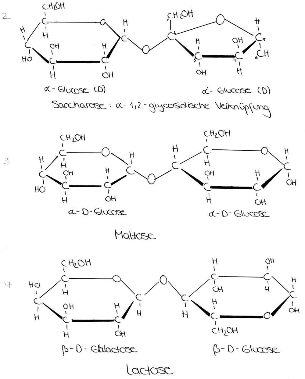 Glykosidische Bindung