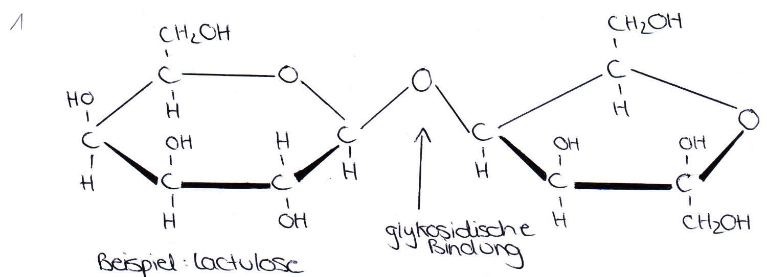 Organische Chemie Kohlenhydrate Disaccharide