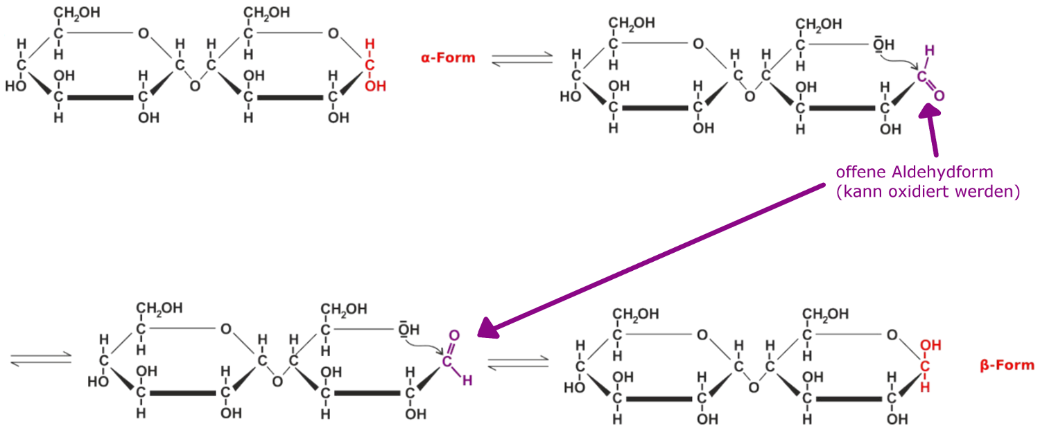 Reduzierende Zucker - Mechanismus