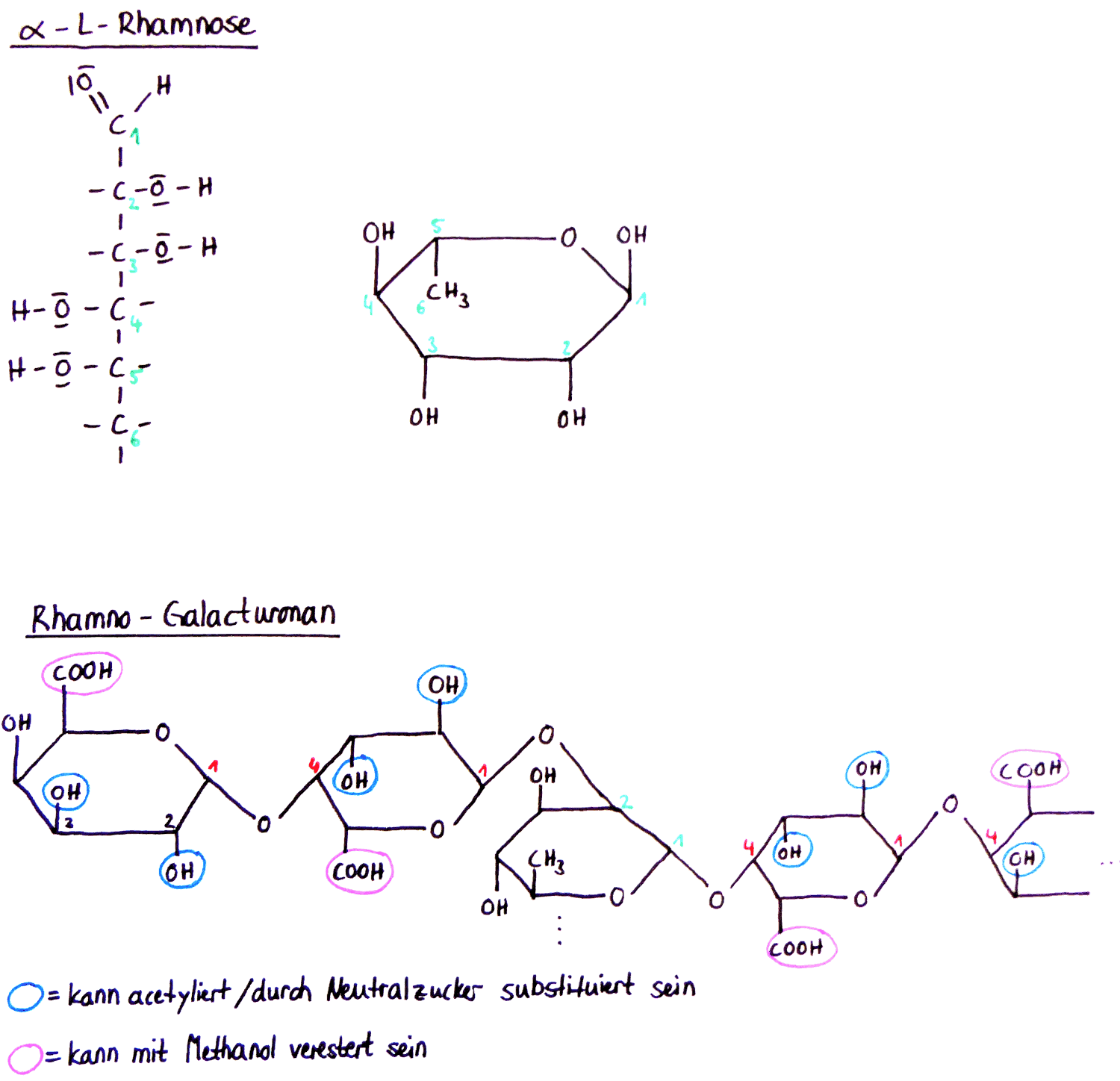 α-L-Rhamnose