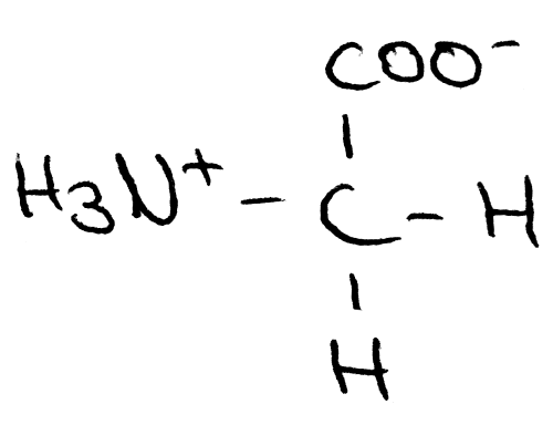 Glycin, Zwitterion