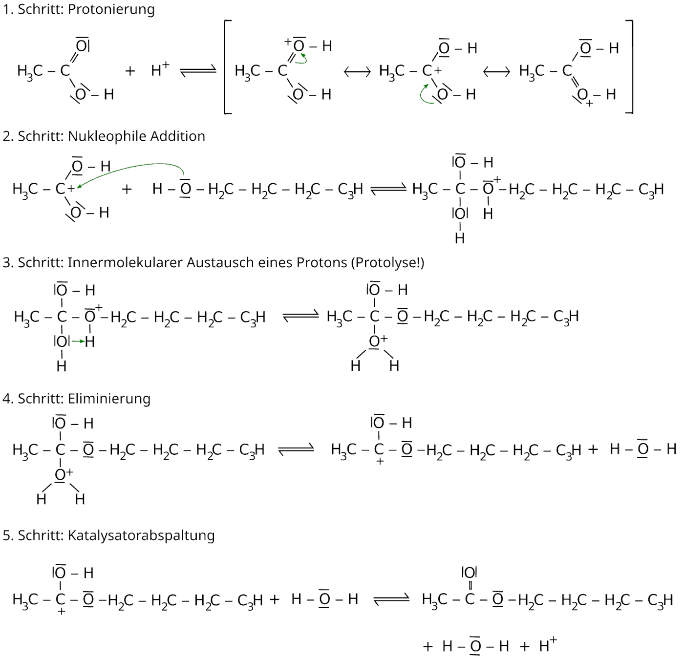 Veresterung - Bildung Essigsäure-Butylester