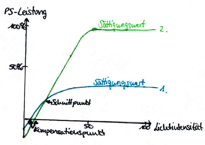 Einfluss der Lichtstärke - Sättigungswert - Lichtsättigung