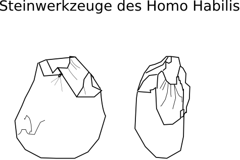 Werkzeuge Homo habiilis