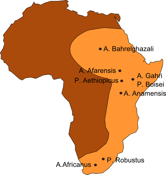 Karte der Fundorte des Australopithecus