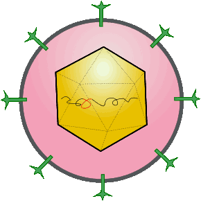 SARS-CoV-2 - Skizze