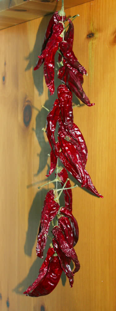 Chillis (Peperoncino) ist scharf